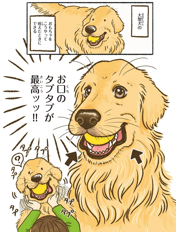 『今日もゴールデンレトリバーに癒されて』より