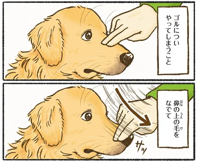 『今日もゴールデンレトリバーに癒されて』より