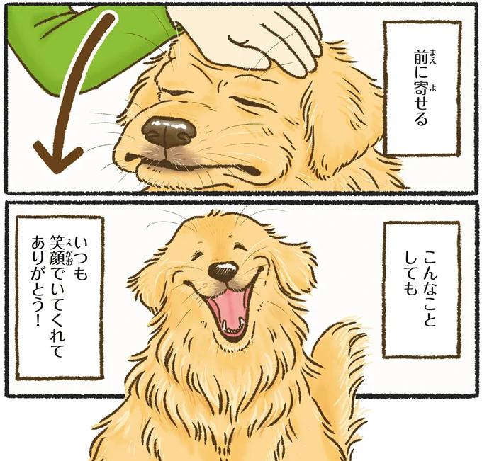 『今日もゴールデンレトリバーに癒されて』より