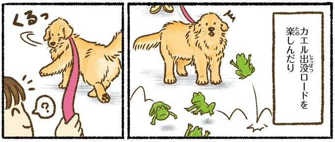 『今日もゴールデンレトリバーに癒されて』より