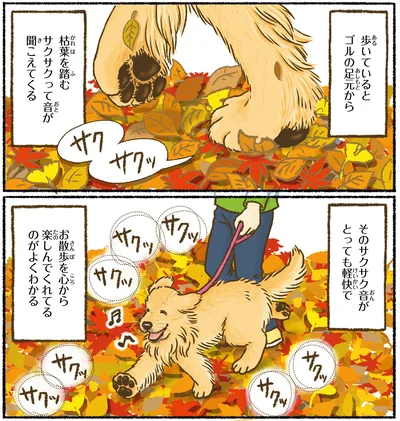 『今日もゴールデンレトリバーに癒されて』より