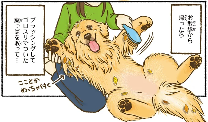 『今日もゴールデンレトリバーに癒されて』より