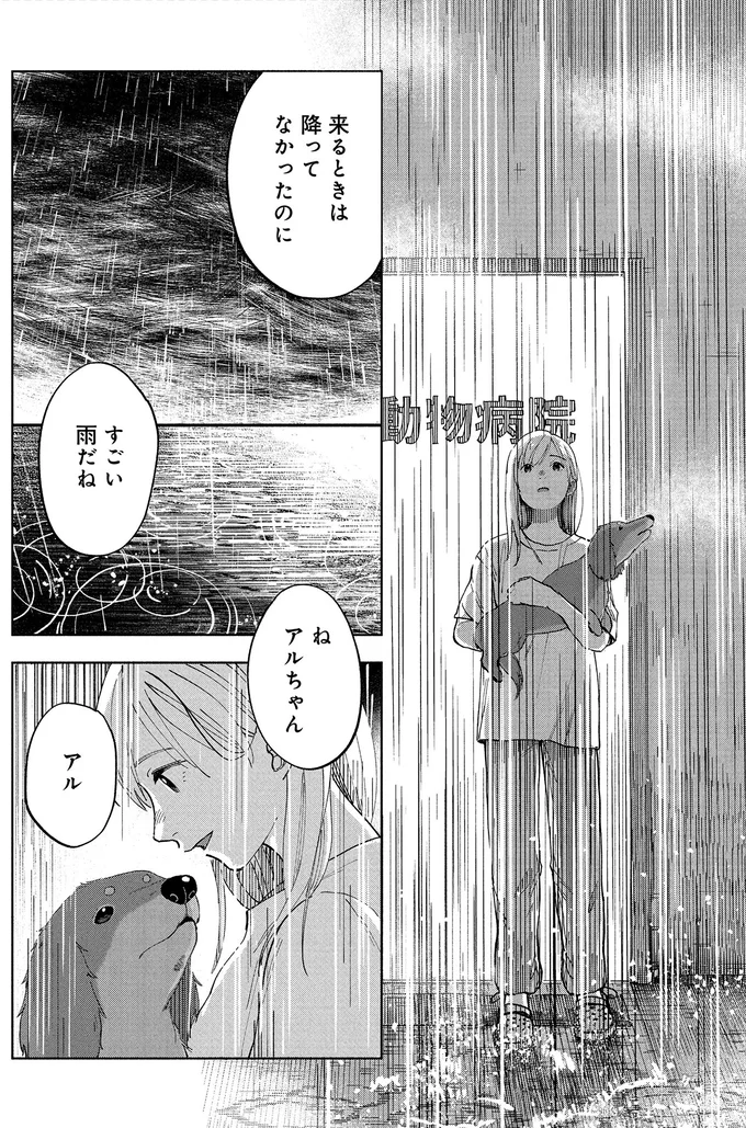 すごい雨だね