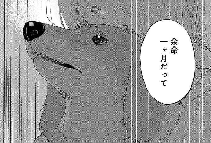 余命1ヵ月だって