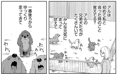 『アルへ』より