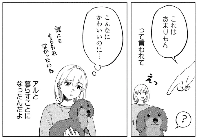 『アルへ』より