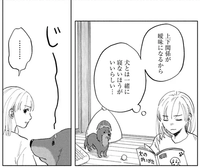 『アルへ』より