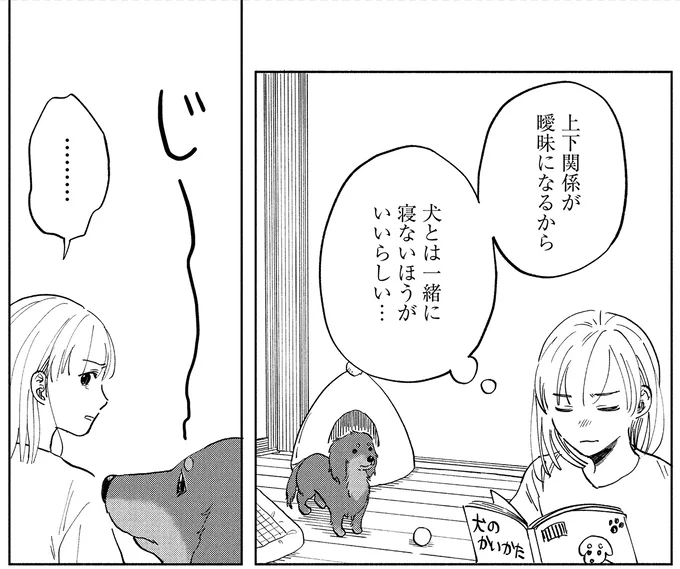 『アルへ』より