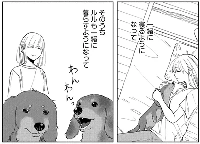 『アルへ』より