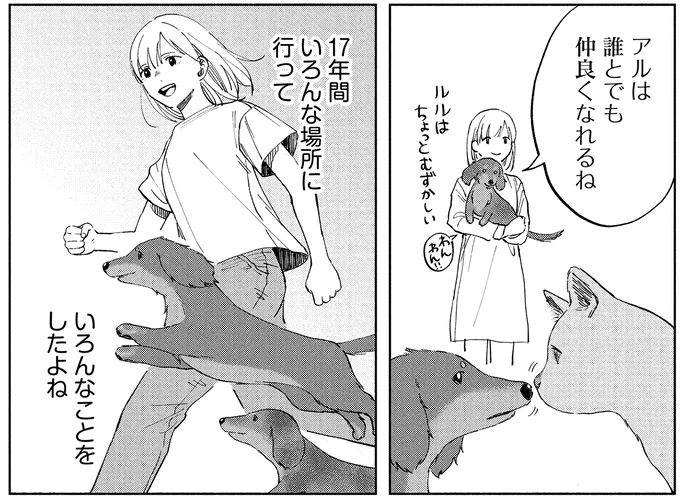 『アルへ』より