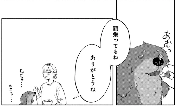 『アルへ』より