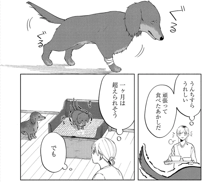 『アルへ』より