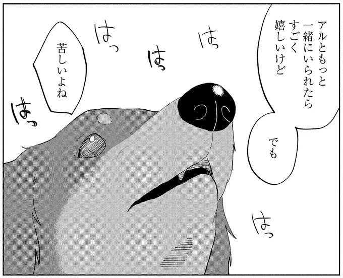 『アルへ』より