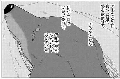 『アルへ』より