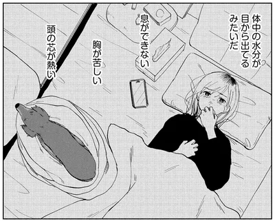 『アルへ』より