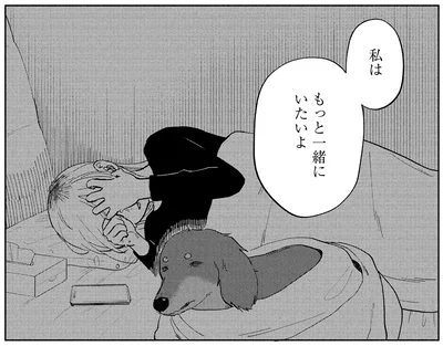 『アルへ』より