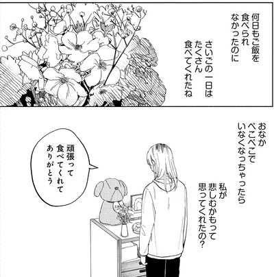 『アルへ』より