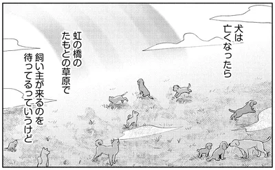 『アルへ』より