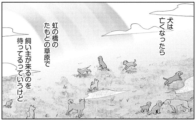 『アルへ』より