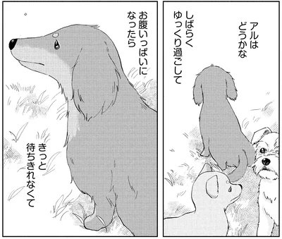 『アルへ』より