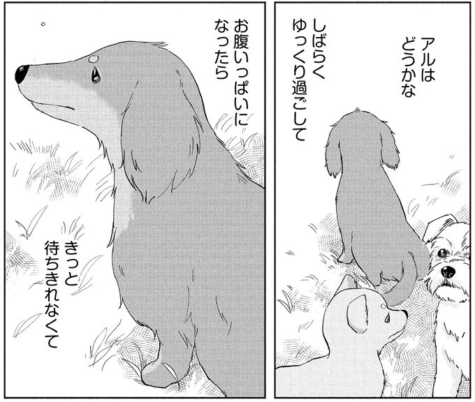 『アルへ』より