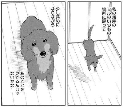 『アルへ』より