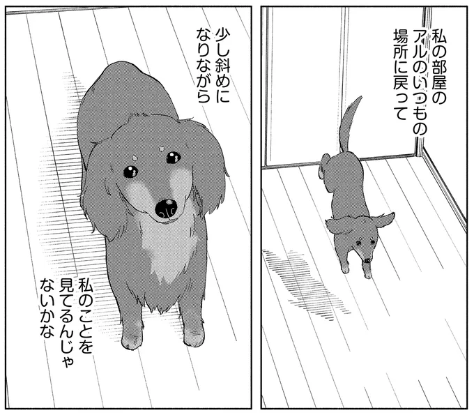 『アルへ』より