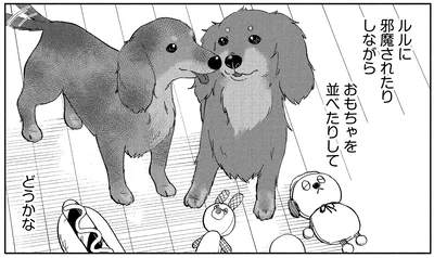 『アルへ』より