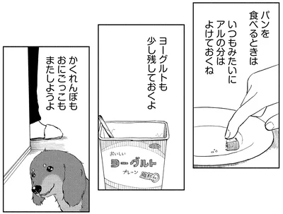 『アルへ』より