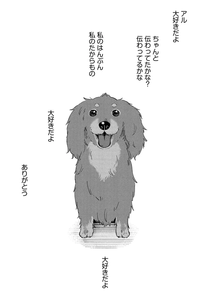 『アルへ』より