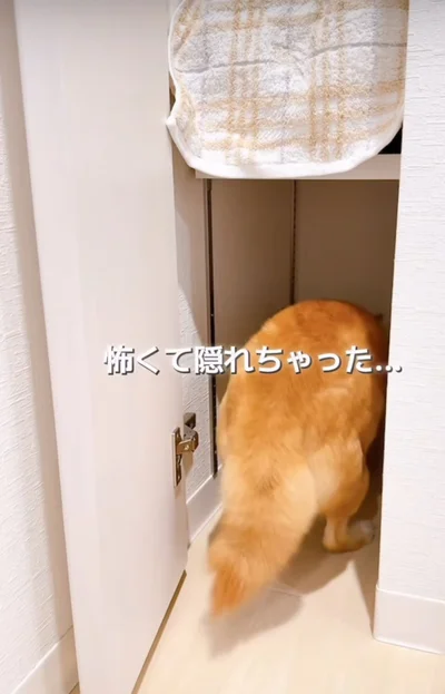 穴があったら入りたい！▶クローゼットの床を掘り掘りするも…？（⇒次へ）