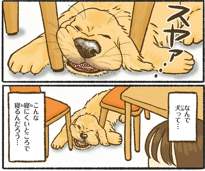 なんで犬って…