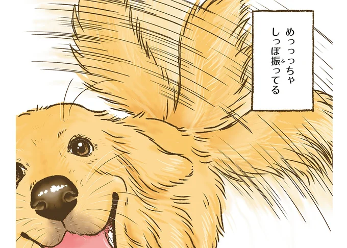 しっぽフリフリ