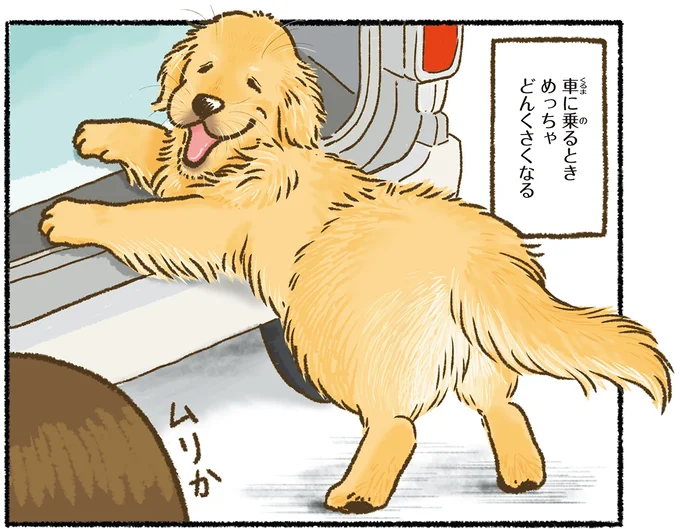 めっちゃどんくさくなる