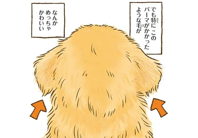 後頭部がかわいい