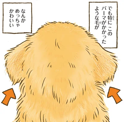 パーマがかかったような毛が