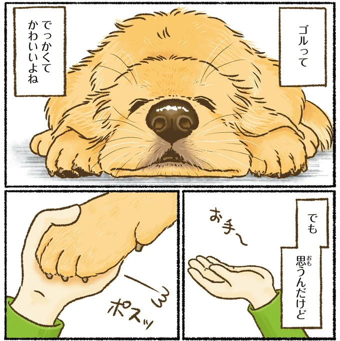 でっかくてかわいいよね