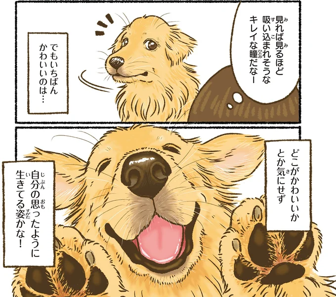 キレイな瞳だなー