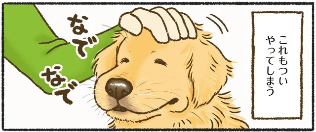 飼い主はついついやってしまう！ ゴールデンレトリバーを前にすると抗えないんです