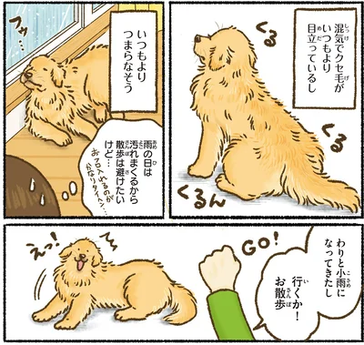 雨の日は汚れるから…