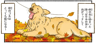 とっても絵になる～