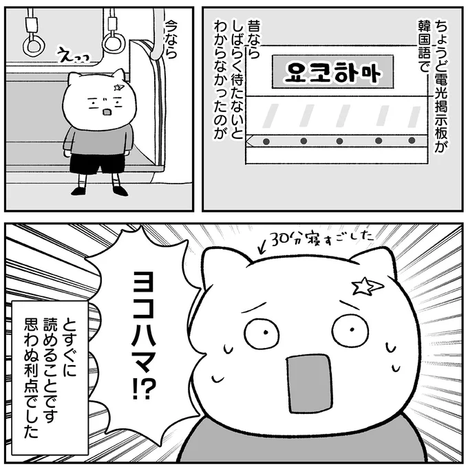 ヨコハマ！？