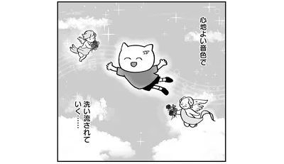 洗い流されていく