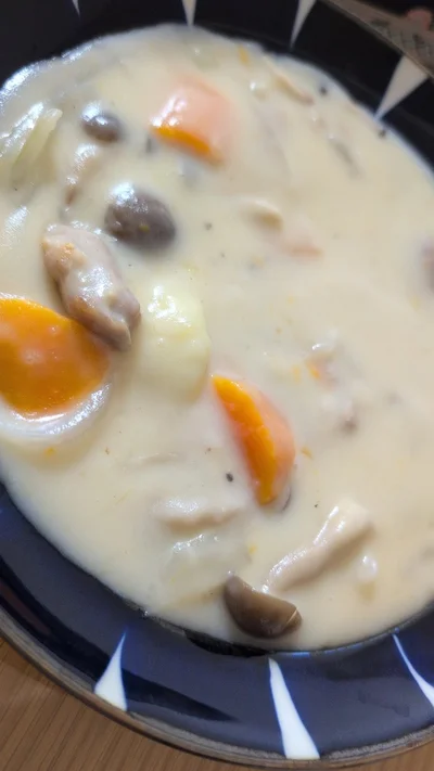 具だくさんなシチュー！見てるとおなかがすいてきます……！▶ときには（⇒次）