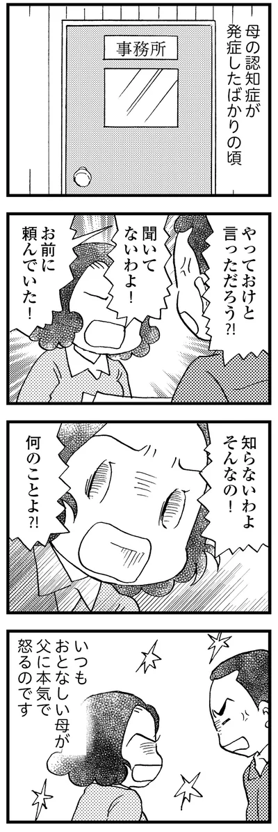 母の認知症が発症したばかりの頃