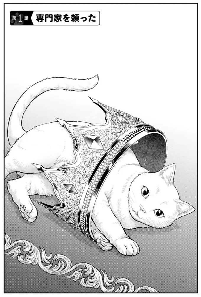 専門家を頼った