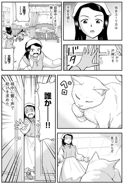 城中に響く声で助けを求めた