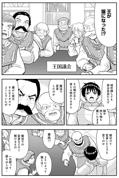 『王が猫になった』より