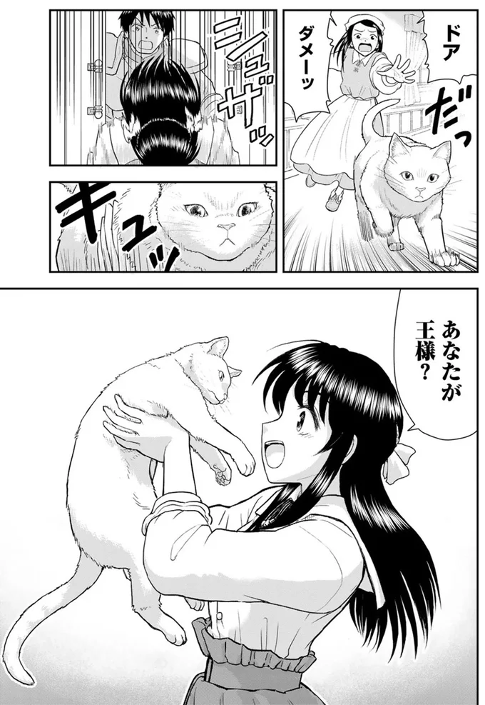 『王が猫になった』より