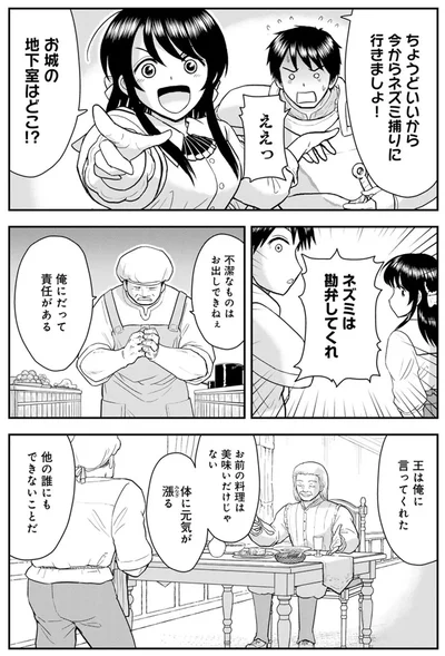 『王が猫になった』より